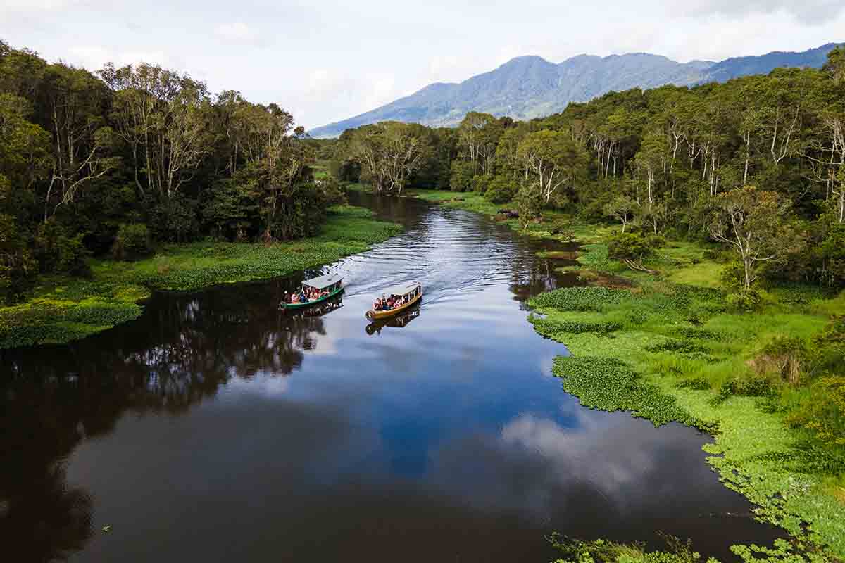 Rawa Bento — The Amazon of Kerinci foto 3