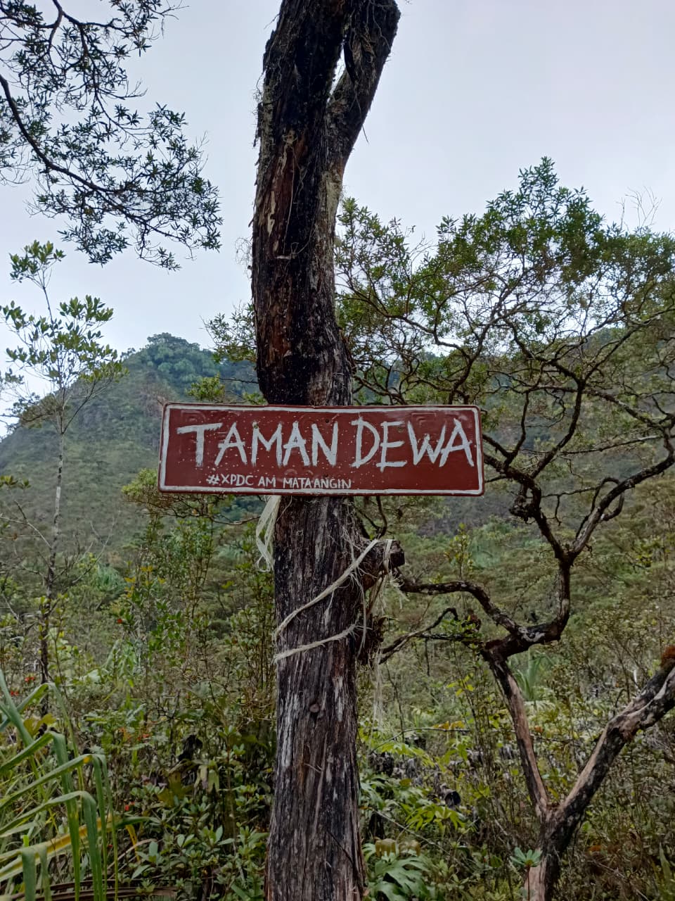 Gunung Kunyit (Taman Dewa) foto 3