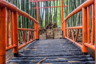 Hutan Bambu Buluh Perindu foto 5