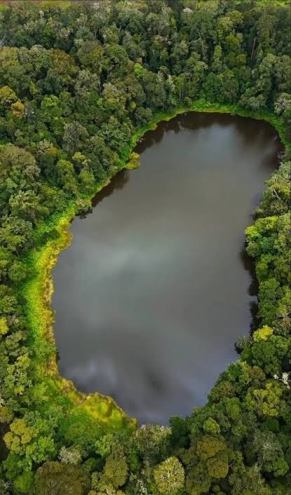 Danau Belibis foto 5